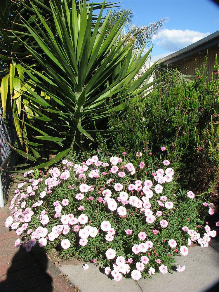 Malfroy Motor Lodge Rotorua Luaran gambar